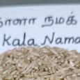 kalanamak rice